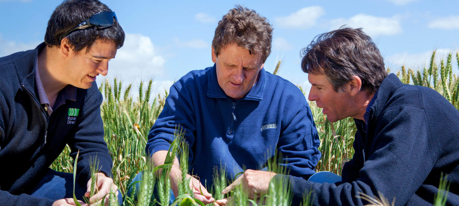UK exchange employee to learn from South Australian agriculture - The ...